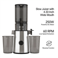 Geoptimaliseerde sapcentrifuge met hoge opbrengst, 250W krachtige fruit- en groentesapcentrifuge, slowjuicer van roestvrij staal