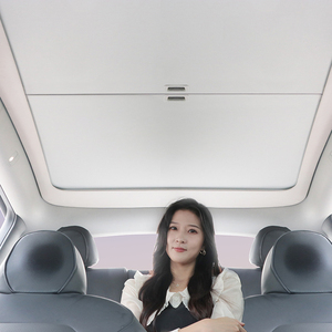 Toldo Retráctil para Techo de Tesla Modelo 3 Y, Aislamiento Térmico y Ultravioleta, Plegable y Silencioso - Product Image 2