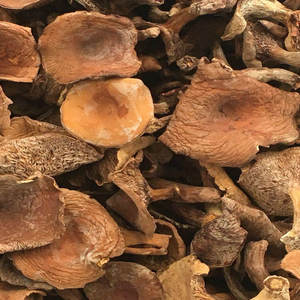 Продажа сушеных цельных грибов лактария волшебного, в форме молочной кепки от Nai jiang jun - Product Image 6