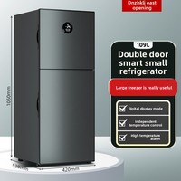 Mini-réfrigérateur compact pour usage domestique, dortoir, location, avec fonction de congélation, double porte, niveau d'efficacité énergétique 1