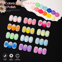 Vendeeni 5 Effets Néon Pat Pat Ombre Gel Vernis à Ongles Coffret Collection 12 Couleurs OEM Gel Polyvalent Fournitures Nail Art