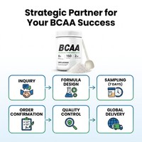 Chumita Minerals BCAA Electrolitos en Polvo, Paquete Variado para Apoyo de Fuerza en Adultos e Hidratación Deportiva