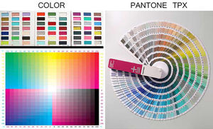 कस्टम बनाया सेक्सी महिलाओं के गुलाबी स्लिंग गर्दन बैच 2025 नई ब्रांड लड़की बिकनी स्ट्रैपलेस स्नान सूट - Product Image 6