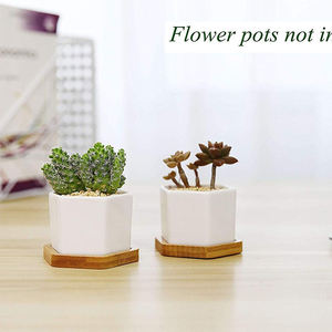 Maceta hexagonal <span class=keywords><strong>de</strong></span> bambú al por mayor, posavasos tallado para bebidas y maceta para flores, suculento platillo, soporte para maceta - Product Image 5