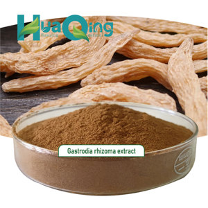 Erva chinesa Suplementos Gastrodia rhizoma extrato - Product Image 1
