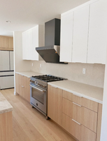 Cuisine moderne modulaire à panneaux plats bicolore avec îlot de cuisine et plan de travail en quartz pour la rénovation de maisons résidentielles
