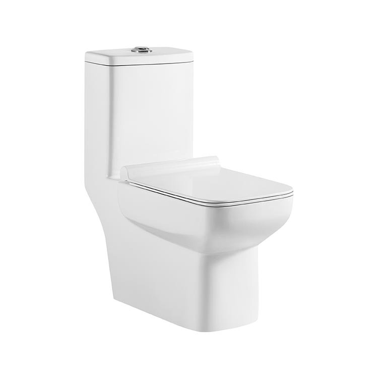 Deux Pièces Laver Près-Formulé Placard Wc En Céramique
