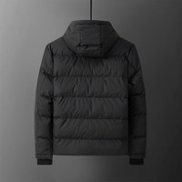 Veste matelassée de luxe pour homme, style designer, en pierre, 100% duvet d'oie, coupe-vent, chaude, pour l'extérieur, avec fermeture éclair.