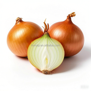 Số lượng lớn tự nhiên tươi bán buôn màu đỏ tươi hành tây ngọt Nhà cung cấp hành tây tươi - Product Image 3