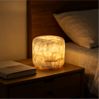 Lampe de chevet en marbre, lampe de nuit tactile, lampe de chevet pour chambre à coucher, type C rechargeable, petite lampe de bureau, lampe de chevet, lampe d'ambiance LED