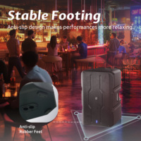 [Almacén de EE. UU.] Altavoz Activo Portátil Profesional de Audio para Exteriores Accuracy Pro Audio AC15 de 1000 W RMS y 15 Pulgadas con Carcasa de Plástico