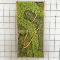 Mousse verte stabilisée en vrac pour décoration murale, fournitures d'art, mousse naturelle pour terrarium, centre de table, bricolage fait main, décoration murale pour la fête des Mères