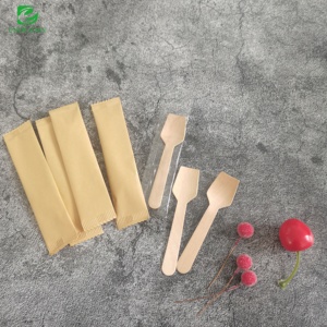 Cuchara de Madera de Abedul Mini Clásica Desechable, Biodegradable y Ecológica, para Helado, Premium, Personalizable con Impresión Personalizada - Product Image 5