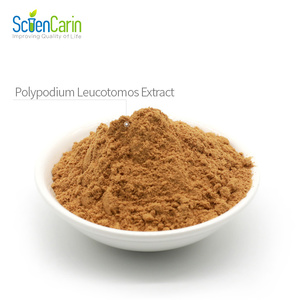 Poudre d'extrait de <span class=keywords><strong>Polypodium</strong></span> <span class=keywords><strong>Leucotomos</strong></span>, herbe traditionnelle chinoise, en conteneur plastique et emballage sous vide en fût - Product Image 2