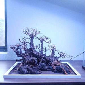 Aquascaping Rotsen Natuursteen Bonsai Drift Hout Voor <span class=keywords><strong>Aquarium</strong></span> <span class=keywords><strong>Aquarium</strong></span> Decoratie Paludarium - Product Image 1