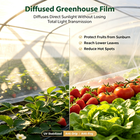 Film de serre PO diffuseur de lumière, résistant aux UV, anti-goutte, pour couverture agricole, vente en gros directe usine