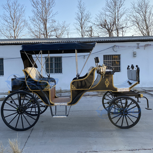 Carrosses de Mariage Électriques Spéciaux pour Visites Touristiques, Prix Usine, Transport de Luxe, à Vendre - Product Image 3