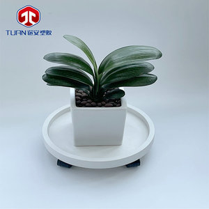 Tuan Plastic Planter Base White Round With Wheels For Flower Pot Bonsai Movable Base Floor Protection - Product Image 1