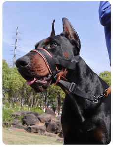<span class=keywords><strong>Muselière</strong></span> réglable en cuir PU Kingtale Training No Pull <span class=keywords><strong>pour</strong></span> chiens de taille moyenne et grande, avec laisse, permet de faire des gémissements et de <span class=keywords><strong>boire</strong></span> - Product Image 6