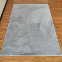 Tapis de couleur unie doux en microfibre Tapis Shaggy Tapis de zone floue pour salon