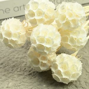 Flor Eterna, Flor de <span class=keywords><strong>Gusano</strong></span> de <span class=keywords><strong>Pino</strong></span>, 10 Varillas/ramo, Flor Seca Hecha a Mano de Larga Duración, Decoración <span class=keywords><strong>del</strong></span> Hogar, Arreglo Floral - Product Image 2