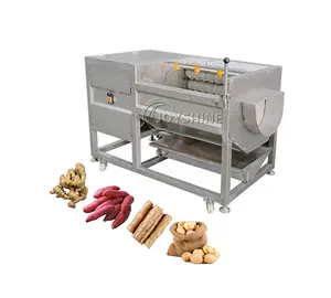 Einfach zu bedienende automatische industrielle 500 kg/std Kartoffel-Ingwer-Walzen waschmaschine Bürsten-Schälmaschine Kartoffel schälmaschine