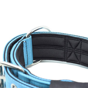 Fabricante de collares para perros, collares tácticos para mascotas de nailon resistente de raza extra grande, collares para perros Para Mujer - Product Image 5