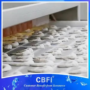 Congélateur rapide en spirale Iqf équipement de réfrigération industrielle de crevettes de fruits de mer congelés
