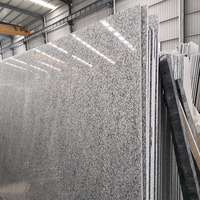Dalles de granit gris G602 de haute qualité, grandes dimensions, garantie 5 ans, surface polie, moderne, écologique, durable, léger