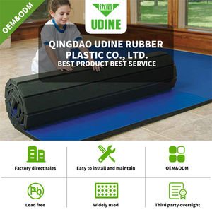 Tapis de Judo personnalisé, en mousse, pour le Taekwondo, karaté, Aikido, Jiu-Jitsu - Product Image 5