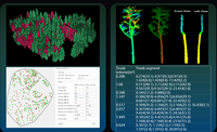 GreenValley LiDAR360 V9, Procesamiento de Nubes de Puntos con IA de Vanguardia para Segmentación de Árboles Individuales, ALS, ULS, MLS, BLS, HLS, TLS