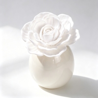 Diffuseur d'huiles essentielles en ciment parfumé aux fleurs, en porcelaine faite à la main, flacon en céramique de 100 ml, pour parfumer l'ambiance de la maison
