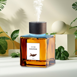 500ML Large Glass Scent <strong>Diffuser</strong> USB Operated Multi Fragrance Natural Essential <strong>Oil</strong> for Hotel Spa <strong>Car</strong> Home Use OEM Custom - Product Image 2
