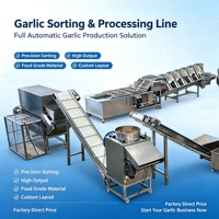 Automatische groenteschiller voor knoflook, ui, gember, volledig geautomatiseerde installatie voor de productie van knoflookpasta en -poeder