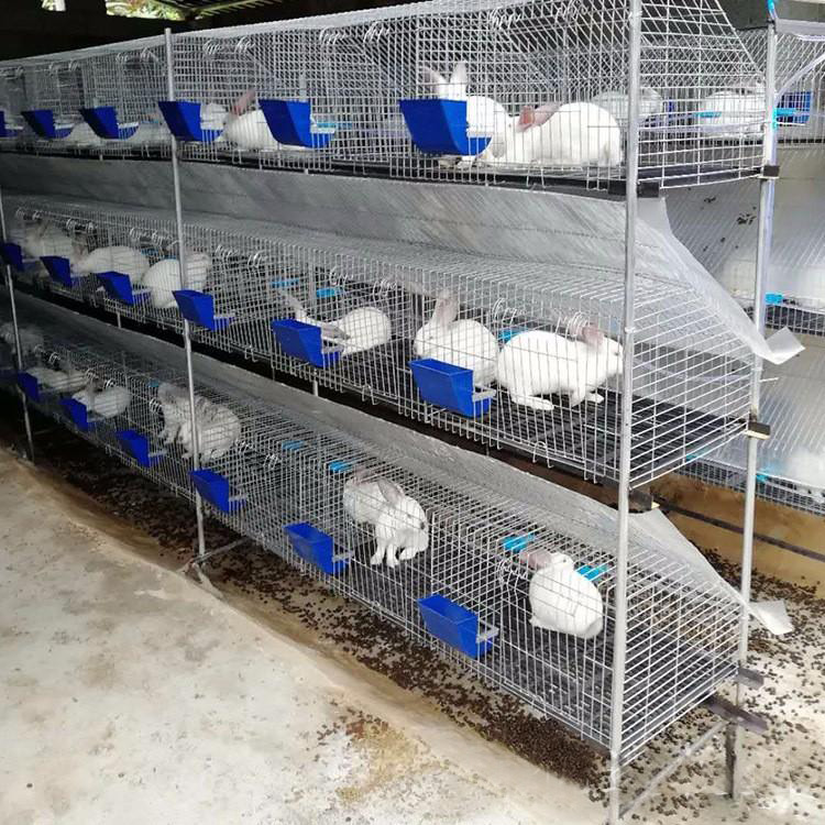 craigslist bunny cage