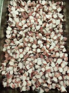 Werkspreis köstlicher gefrorener geschnittener Oktopus TAKO - Product Image 5