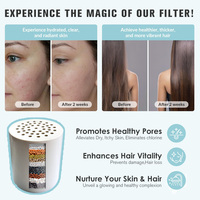 Filtre de Douche Haute Pression Multi-Étapes Velobath 5 Pouces avec Tête de Douche Intégrée pour Usage Domestique