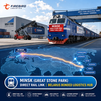 Firebird.Railway.Shipping.To.Czech.FBA.DDP.China.Europe.Train.Transport.Bulk(Parcelles volumineuses).Door.To.Door.Logistique