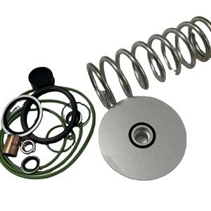 Pièces de compresseur industriel Manny 2901021101 Kit de soupape de décharge - Product Image 1