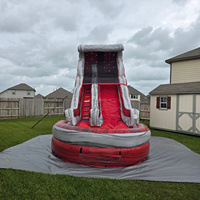 Toboggan aquatique gonflable commercial en PVC pour adultes, idéal pour les parcs de jeux extérieurs – Offre spéciale palmiers