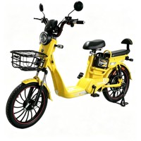 Vélo de montagne électrique de notre propre usine pour hommes et femmes, 350W 48V 12Ah, batterie amovible, freins à disque doubles, vélo électronique intelligent