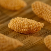 Lrrsesistibly le biscuit de riz croustillant et savoureux est la collation dont vous avez besoin
