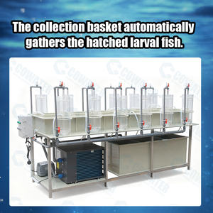 Sistema de Incubadora de Ovos Cowater em PP de Grau Alimentício Durável, Modelo CW-FH-05 para Operações de Criação de Peixes em Pequena Escala - Product Image 5