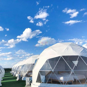 Dôme <span class=keywords><strong>en</strong></span> verre transparent de luxe pour glamping, serre, tente igloo extérieure, tente de glamping, tente géodésique à ossature <span class=keywords><strong>en</strong></span> acier à vendre - Product Image 6