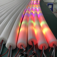 Bande lumineuse LED numérique flexible adressable personnalisée de haute qualité IP67 RGB Pixel WS2811 WS2812b Tube Rope 5V 12V 24V