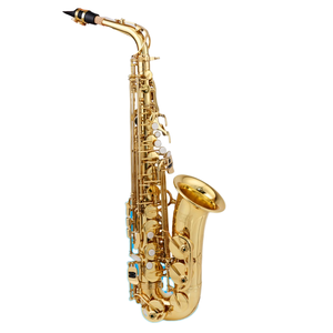 Source transfrontalière E-Flat Alto Saxophone Surface dorée laquée Côtes simples et côtes doubles pour examens débutants Utilisation universelle - Product Image 4