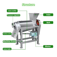 Extracteur de jus industriel 2024 pour raisin, oignon, pêche, gingembre, fruits tropicaux et orange, pour la production de jus de goyave