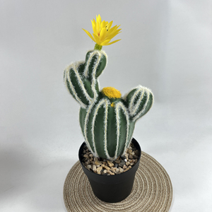 Sempreverdi piante simulate di Cactus palla spinosa vaso succulento pianta verde tropicale decorazione della casa-149 - Product Image 1