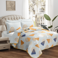Ensemble de housse de couette de luxe sur mesure pour lit Queen Size, fabriqué en Chine, en polyester simple 300tc, 5 pièces, haute qualité, léger