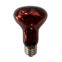 Ampoule LED E27 B22 60 W 120 V en gros pour usage commercial et domestique, éclairage d'appareils électroménagers et de réfrigérateurs, certifiée CE Rohs
